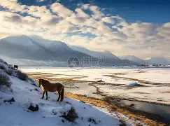  雪域鲸鲨队鏖战中原黑豹队，足球大师赛读秒绝平，转换速度占优。门前嗅觉决定胜负